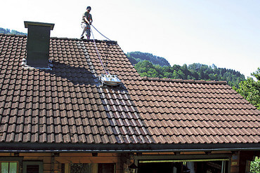 Roof Cleaner