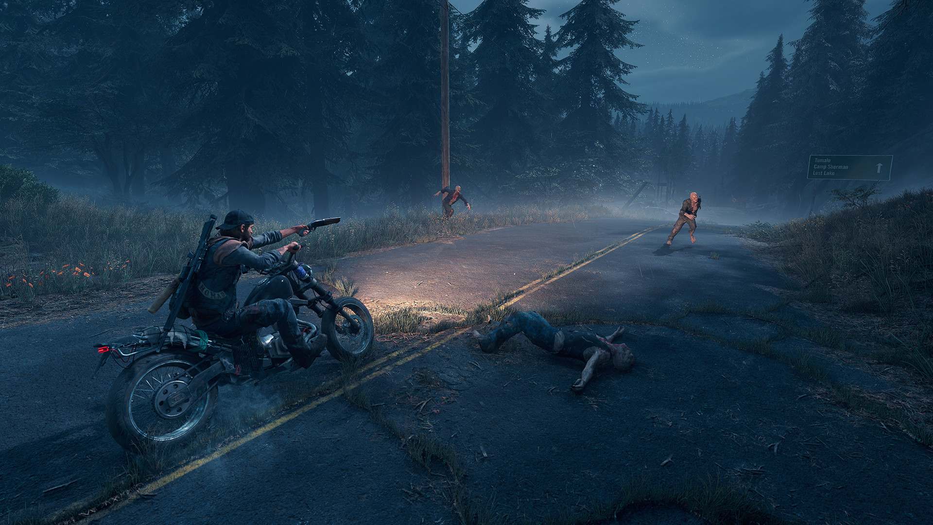 days-gone-pc-screenshot-3