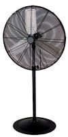 Pedestal Fan