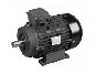 Small Electric Motors