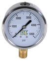 Pressure Gauge