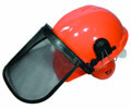 Safety Helmet