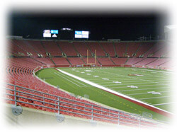 Stadium Cleaning